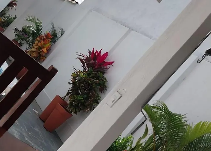 Apartamento Na Passarela
