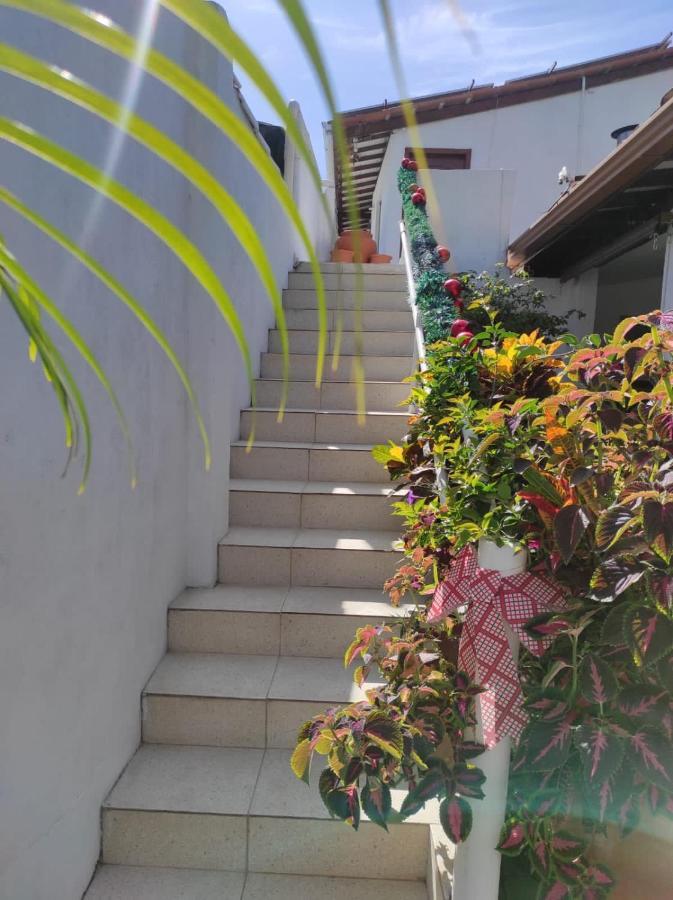 Apartamento Na Passarela *